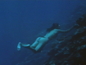 エラブの海A.png