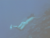エラブの海A.png